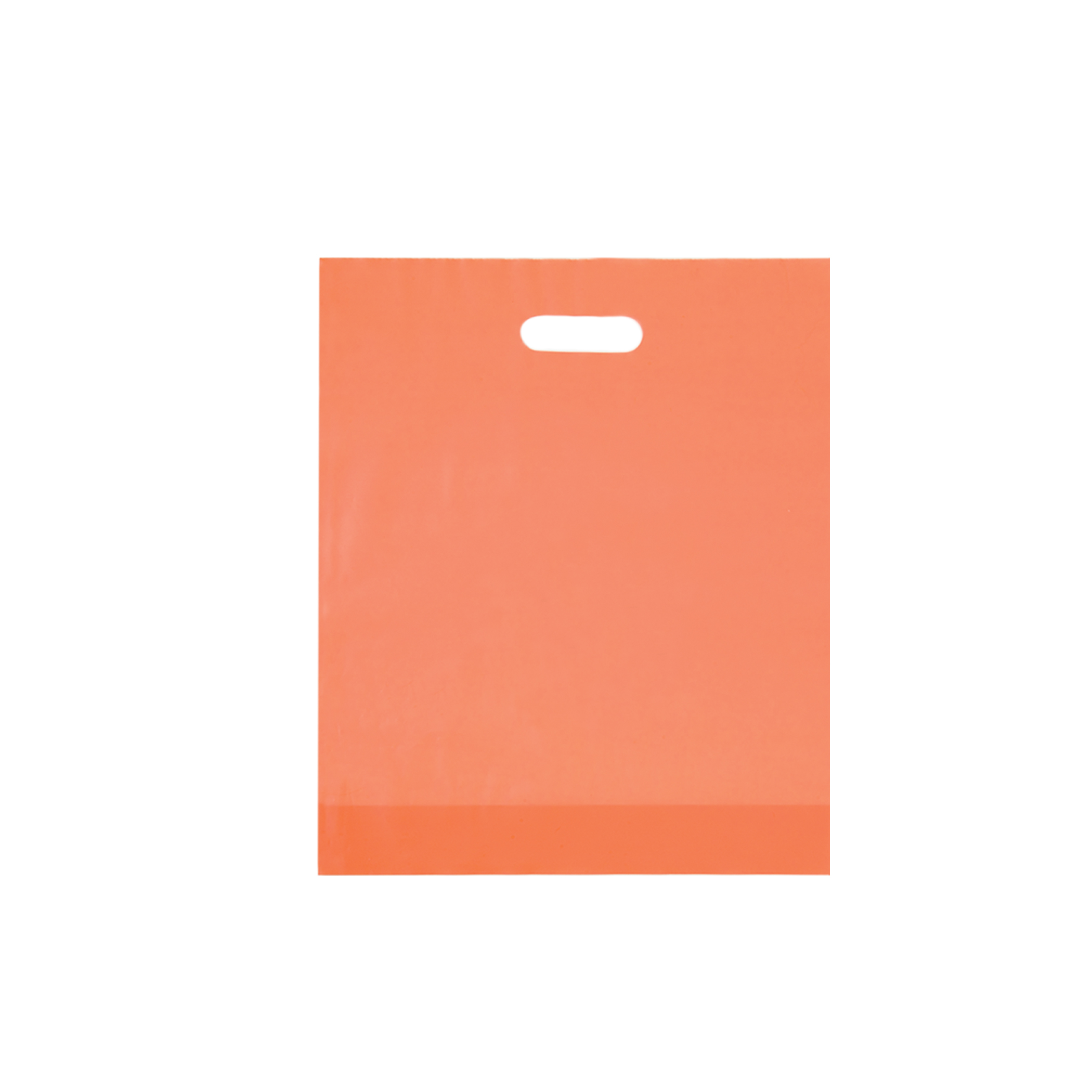 Frosted Die Cut Bag