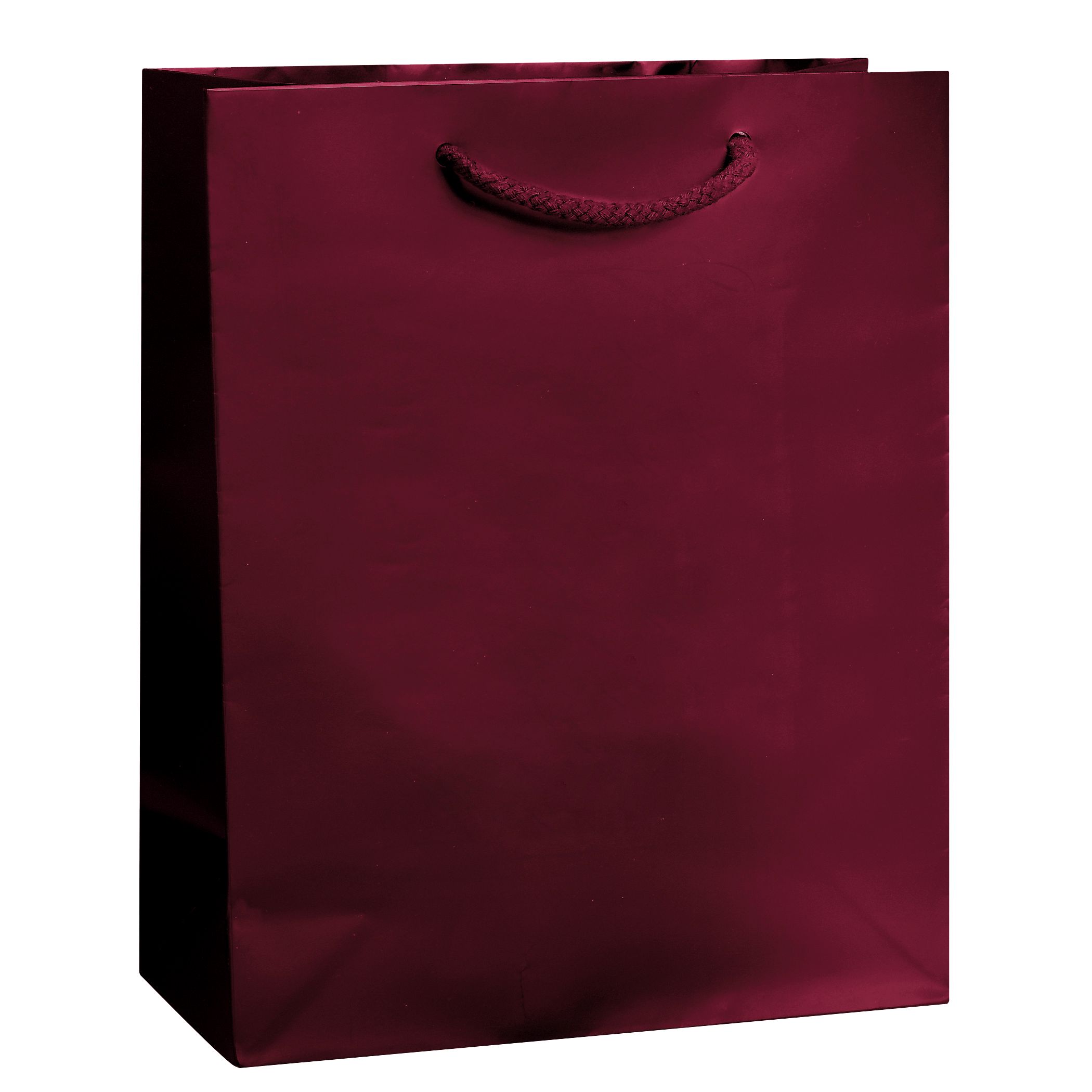 Gloss Laminated Euro Tote Bag |8x4x10|