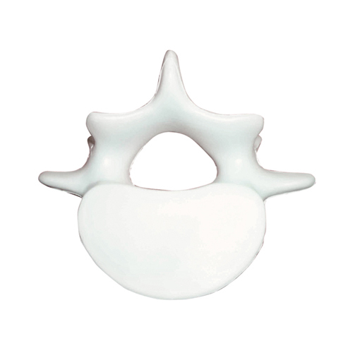 Vertebrae Stress Reliever