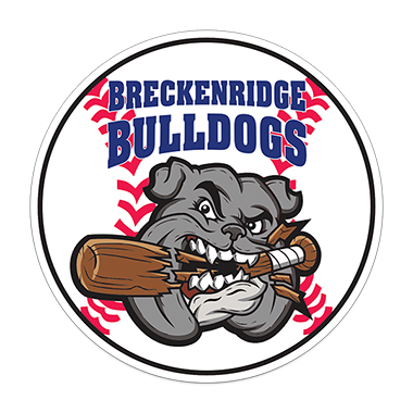 Sports Magnet | Baseball | 5 3/4