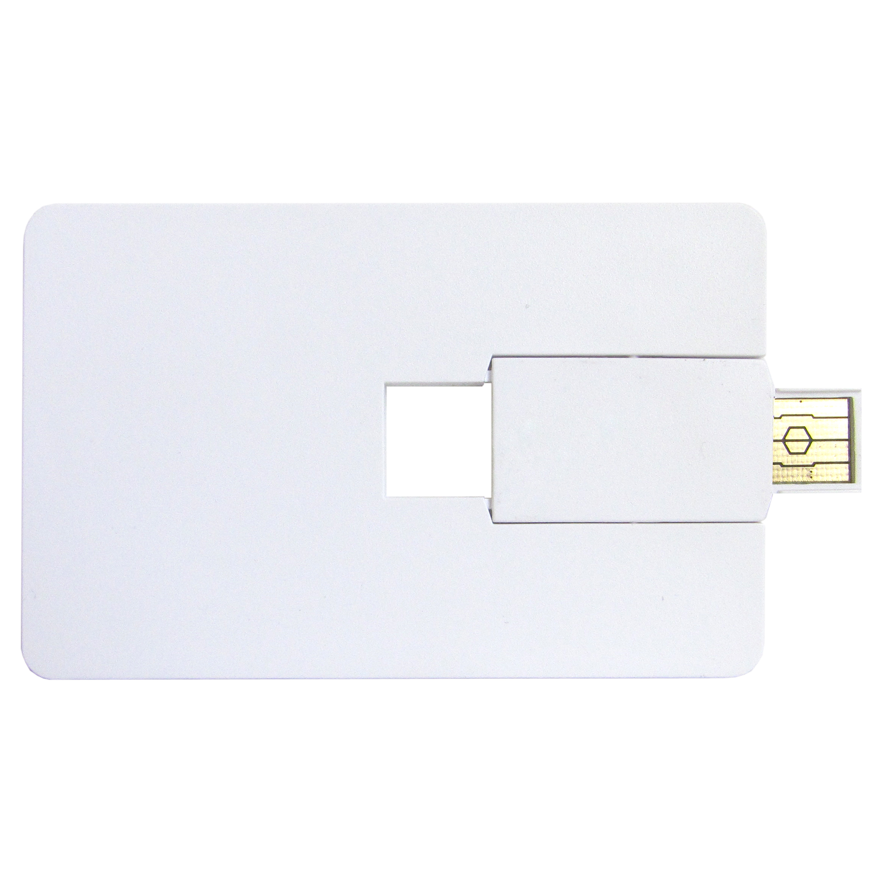 Jackson USB Flash Drive