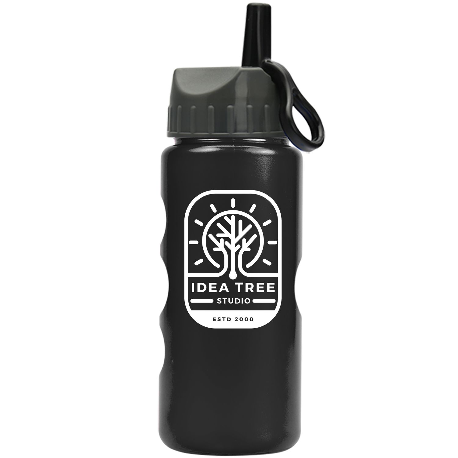Mini Peak - 22 oz. Metalike Bottle -Flip Straw Lid