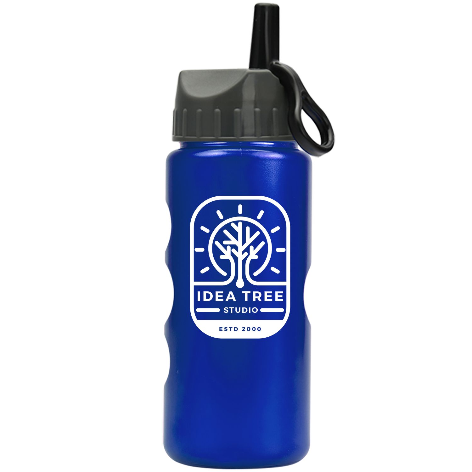 Mini Peak - 22 oz. Metalike Bottle -Flip Straw Lid