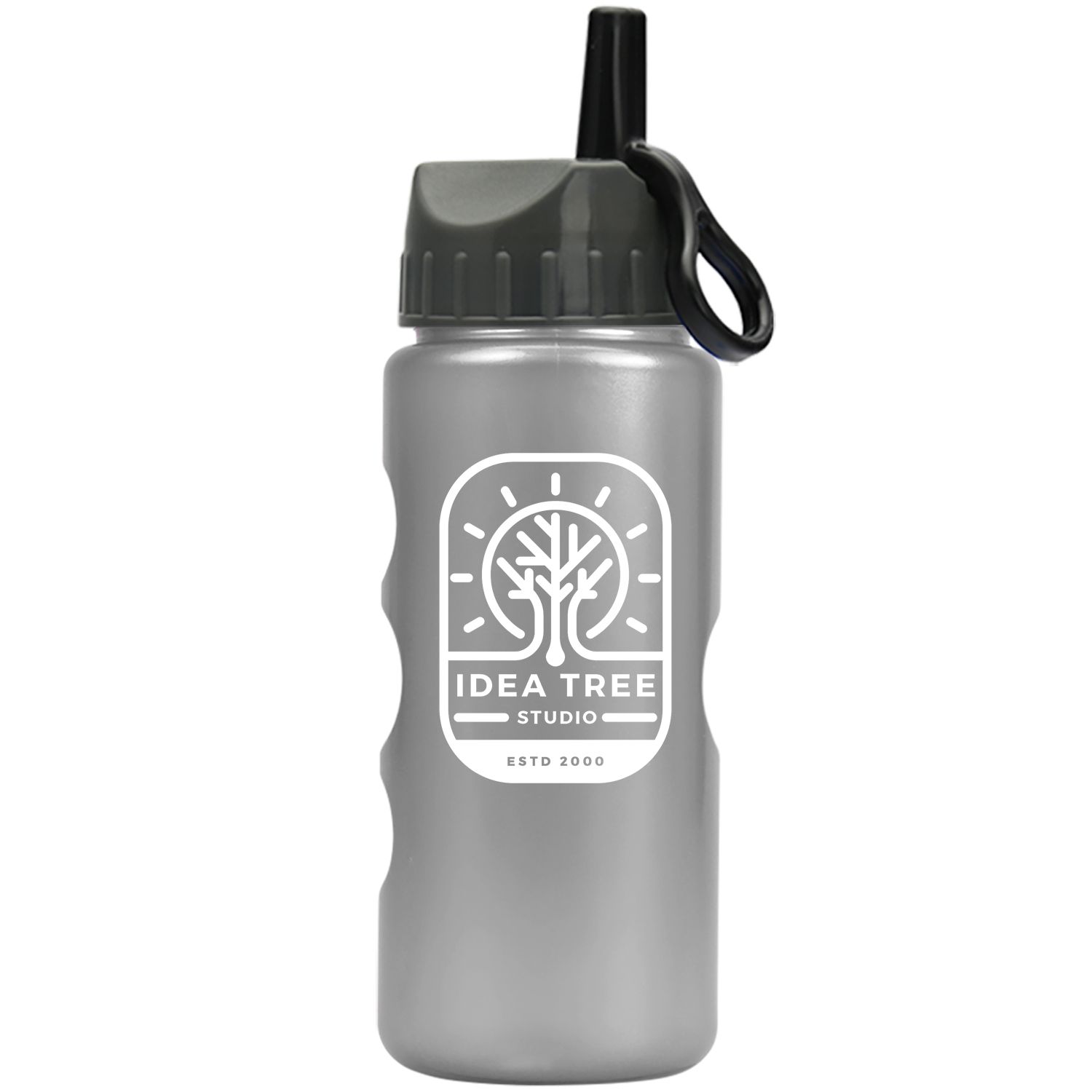 Mini Peak - 22 oz. Metalike Bottle -Flip Straw Lid
