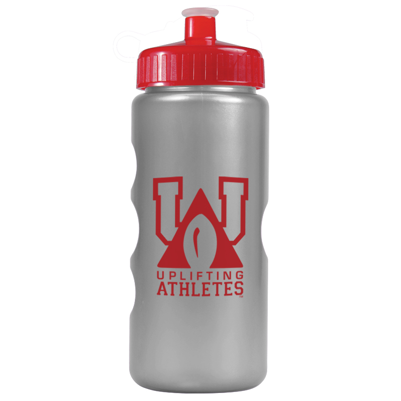 Mini Peak - 22 Oz. Tritan™ Metalike Bottle With Pushpull Lid