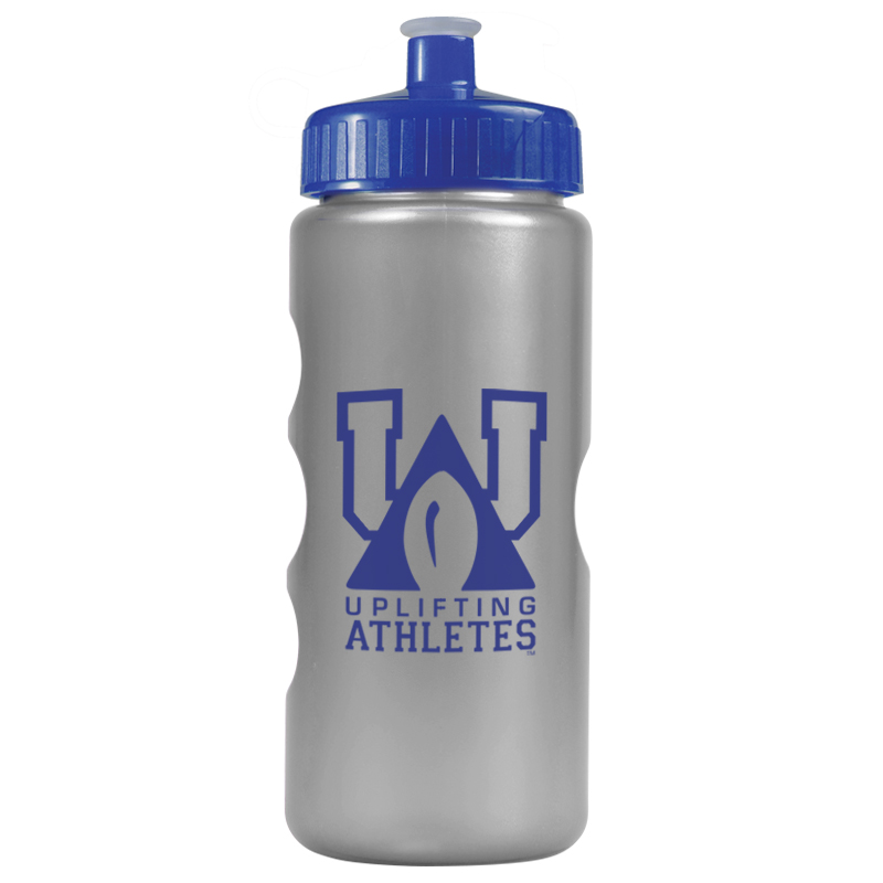 Mini Peak - 22 Oz. Tritan™ Metalike Bottle With Pushpull Lid