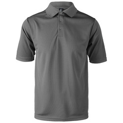 Team Polo