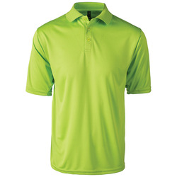 Team Polo