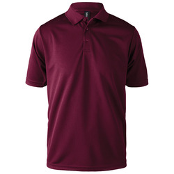 Team Polo