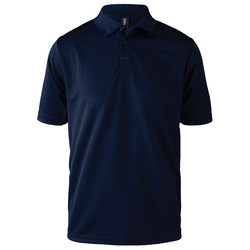 Team Polo