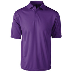 Team Polo