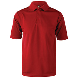 Team Polo