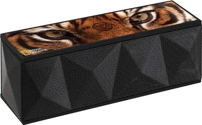 RoxBox™ Duet Wireless® Speaker
