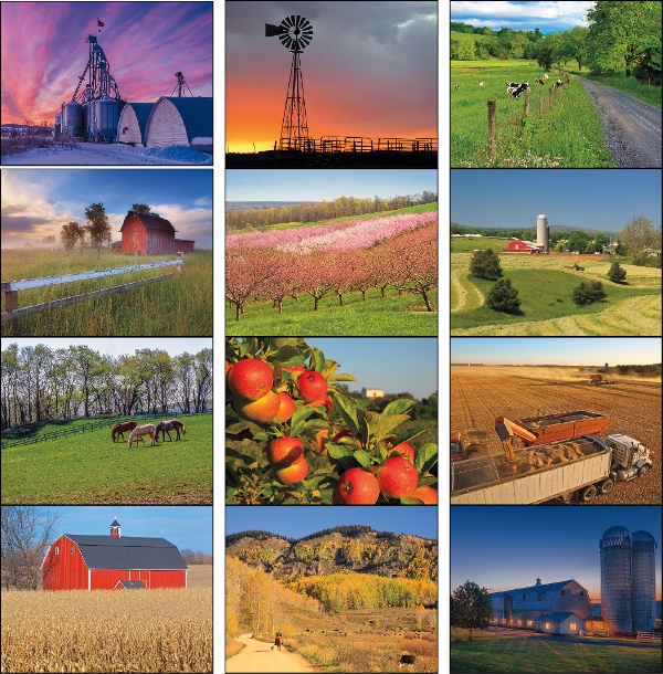 Agriculture - Stapled