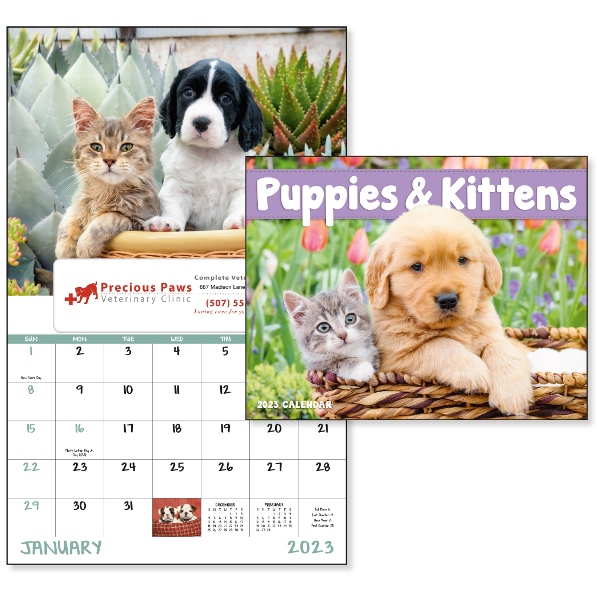 Puppies & Kittens - Window