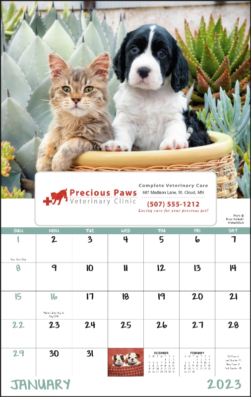 Puppies & Kittens - Window