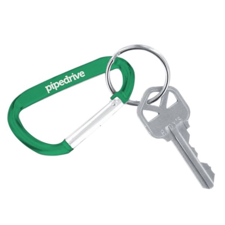 Carabiner Keychain