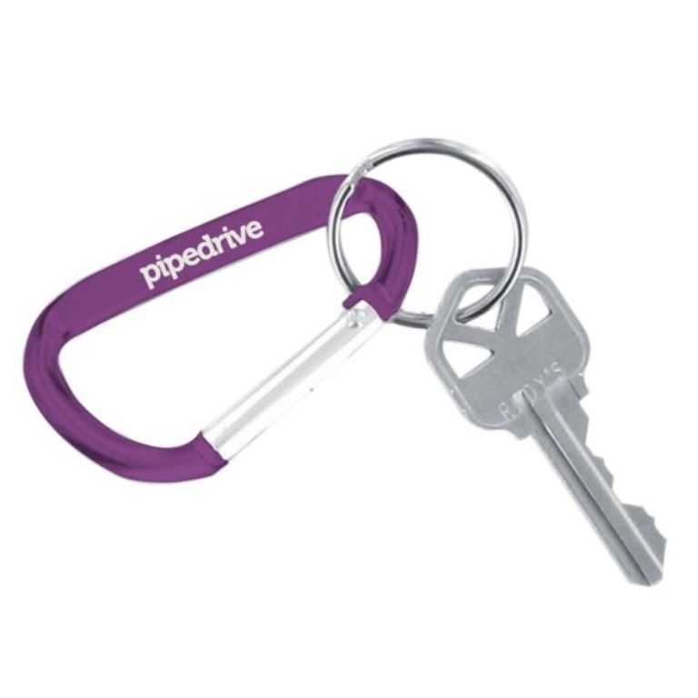 Carabiner Keychain