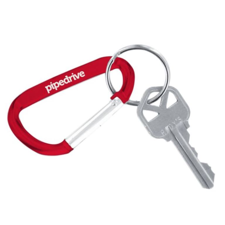 Carabiner Keychain