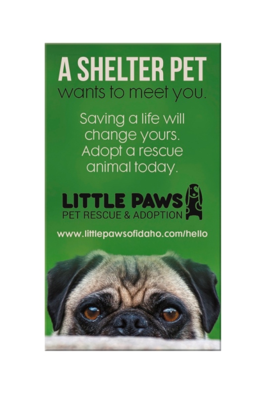 Business Card Magnet