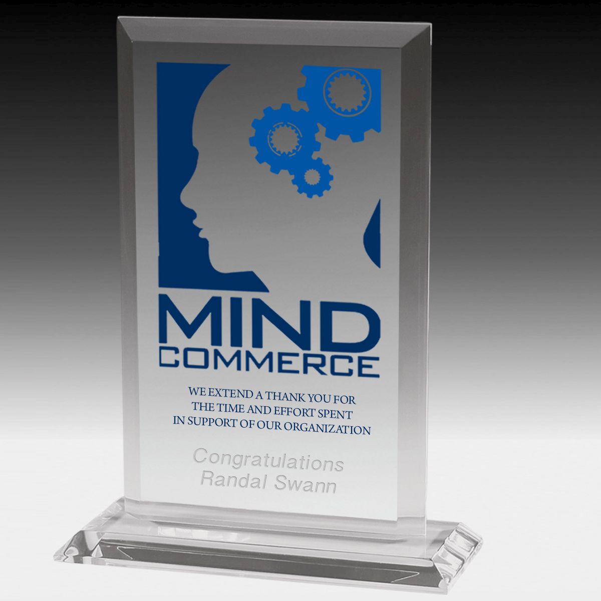 Slim Line Acrylic Billboard Award