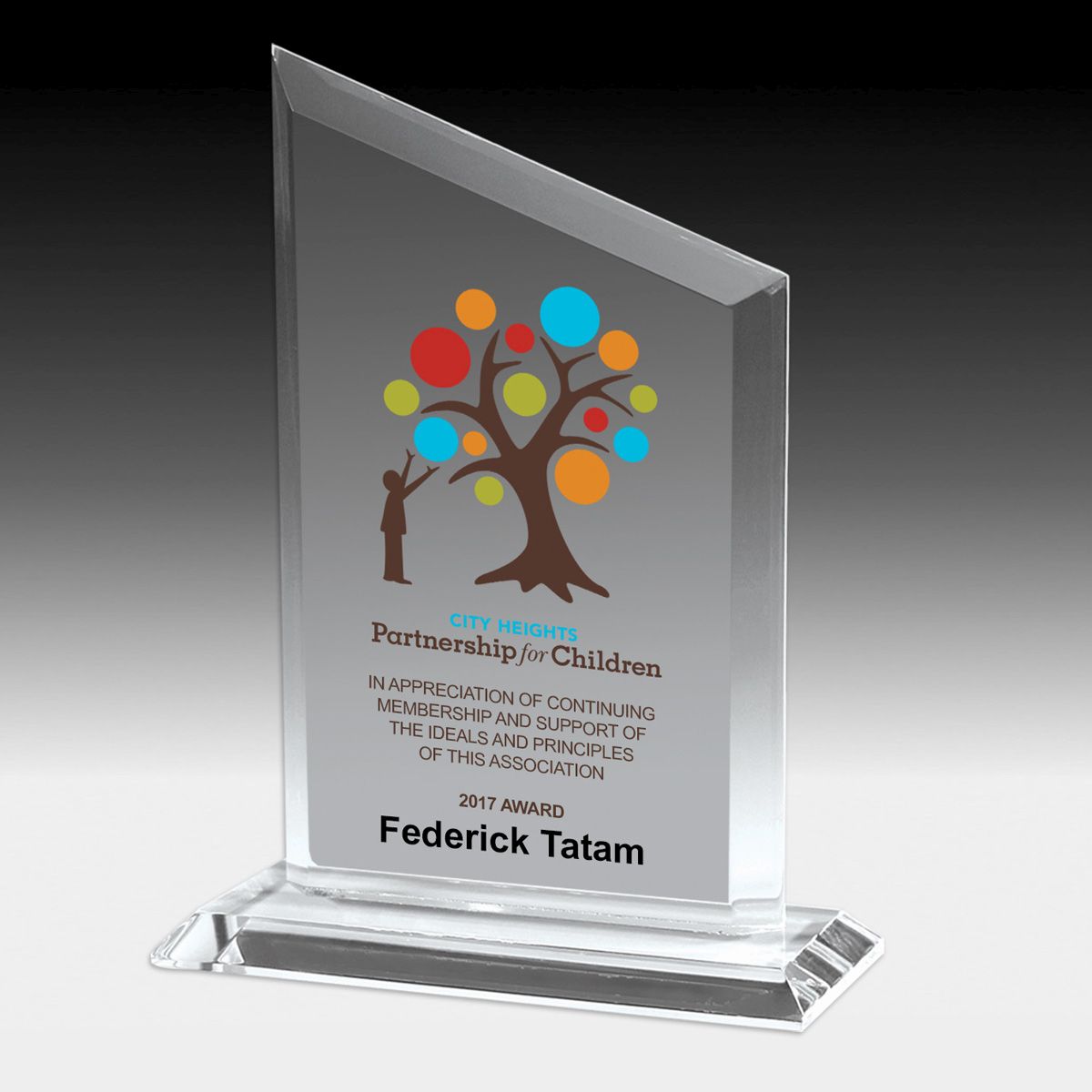 Slim Line Acrylic Billboard Award