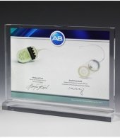 Mini Billboard Acrylic Award