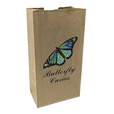 Popcorn Bag