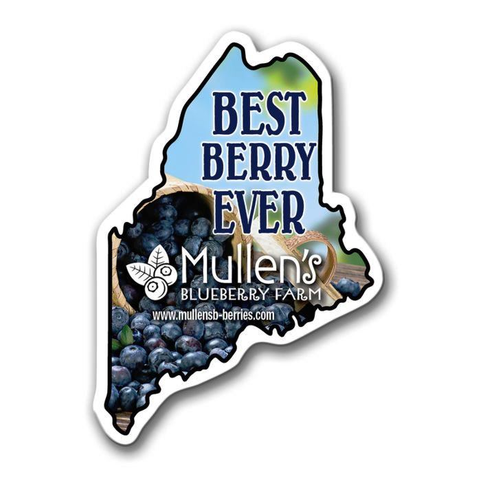 Maine State Magnet