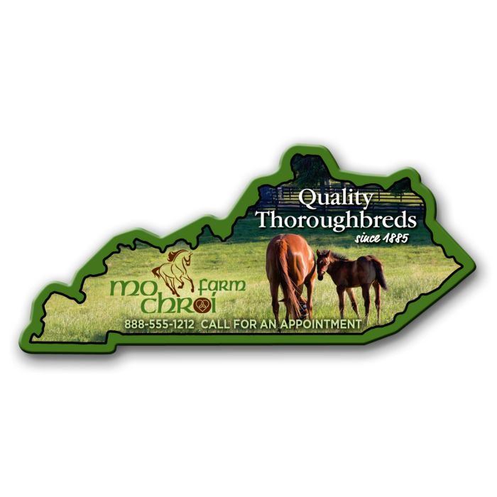 Kentucky State Magnet