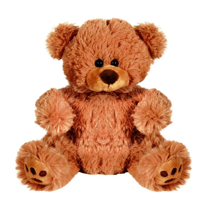 Plush Bear with Embroidered Paws and T-Shirt