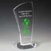 Progressive Award - 4” X 8”