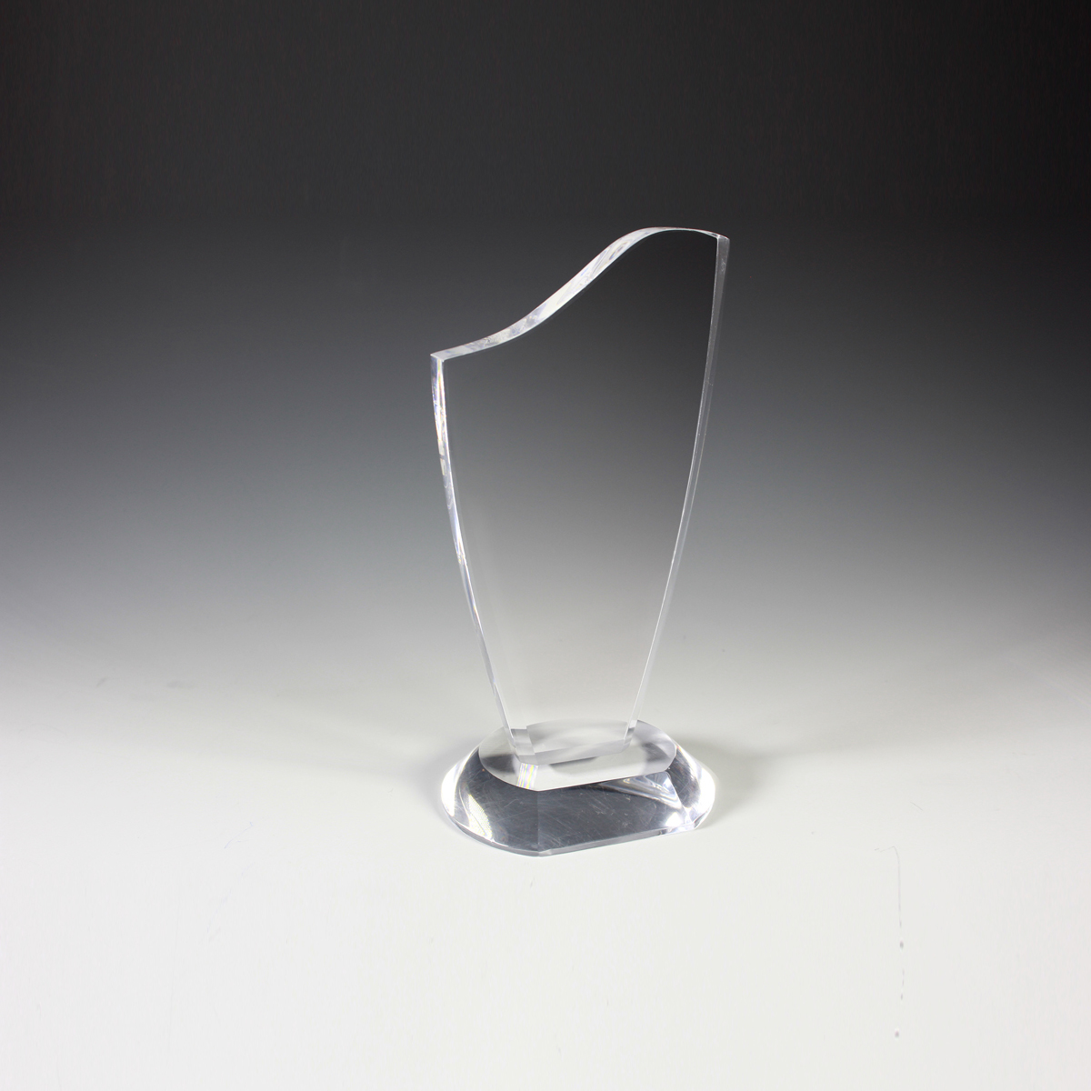 Progressive Award - 4” X 8”