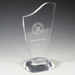 Progressive Award - 4” X 8”