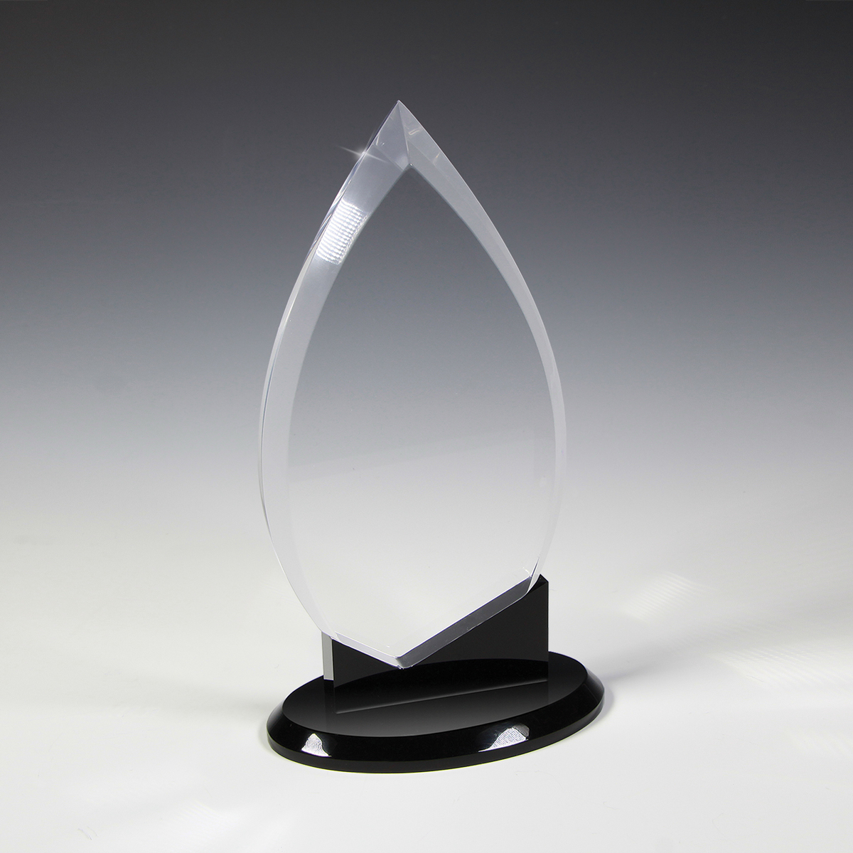 Century Acrylic Award