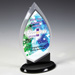 Century Acrylic Award