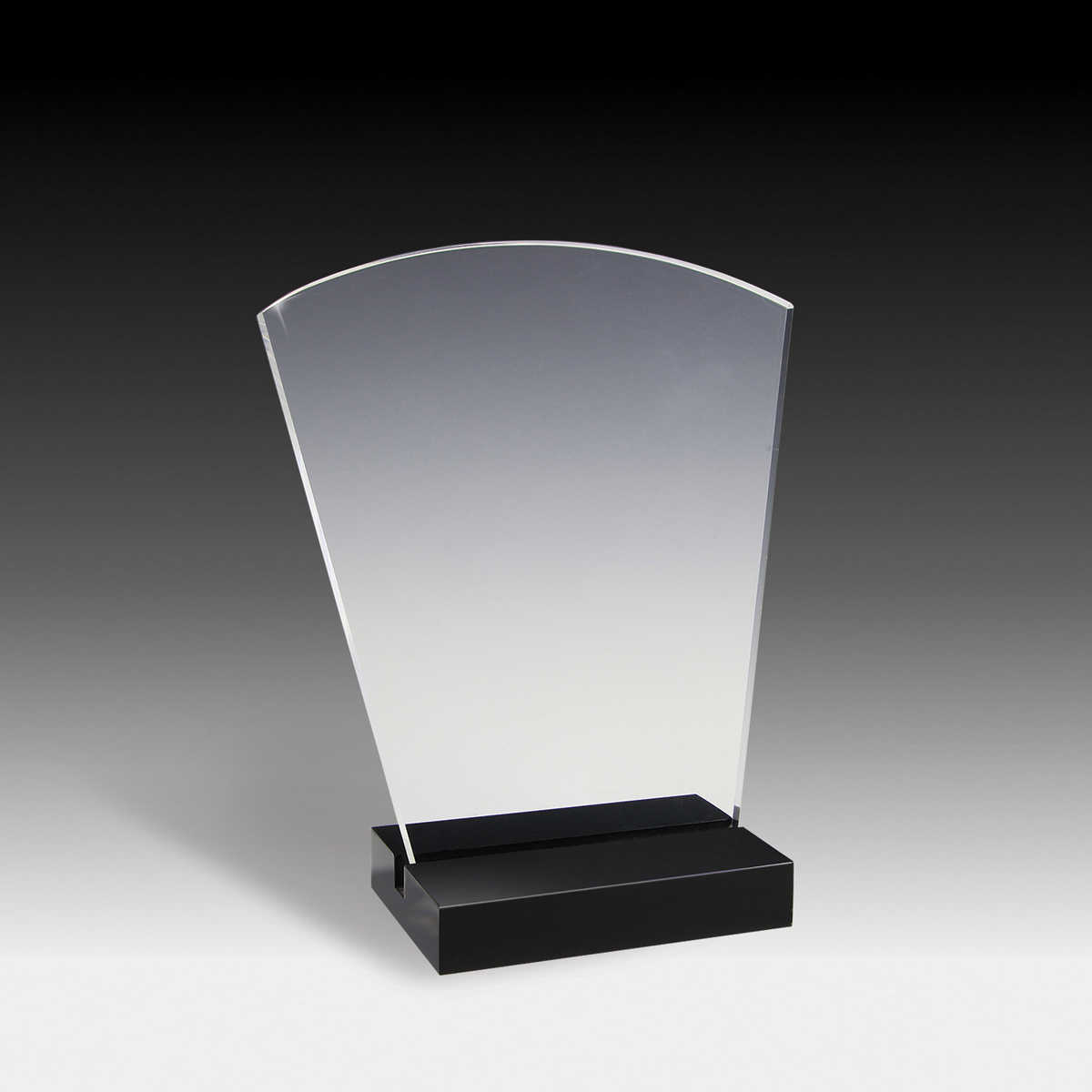 Freedom Acrylic Award