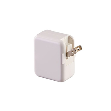Dual Port AC to USB Adaptor