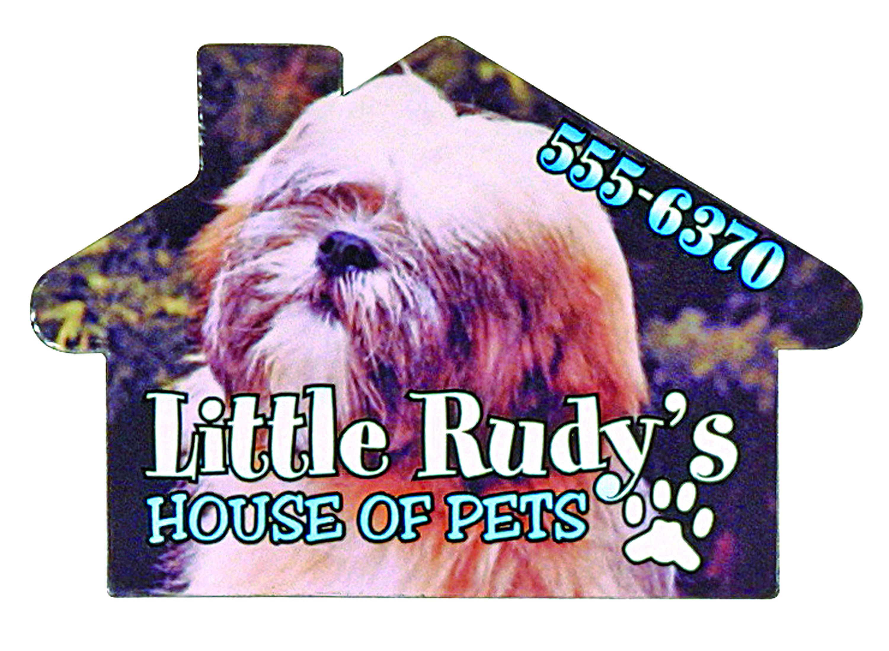 Full Color Digital Stock Shaped Magnets - House