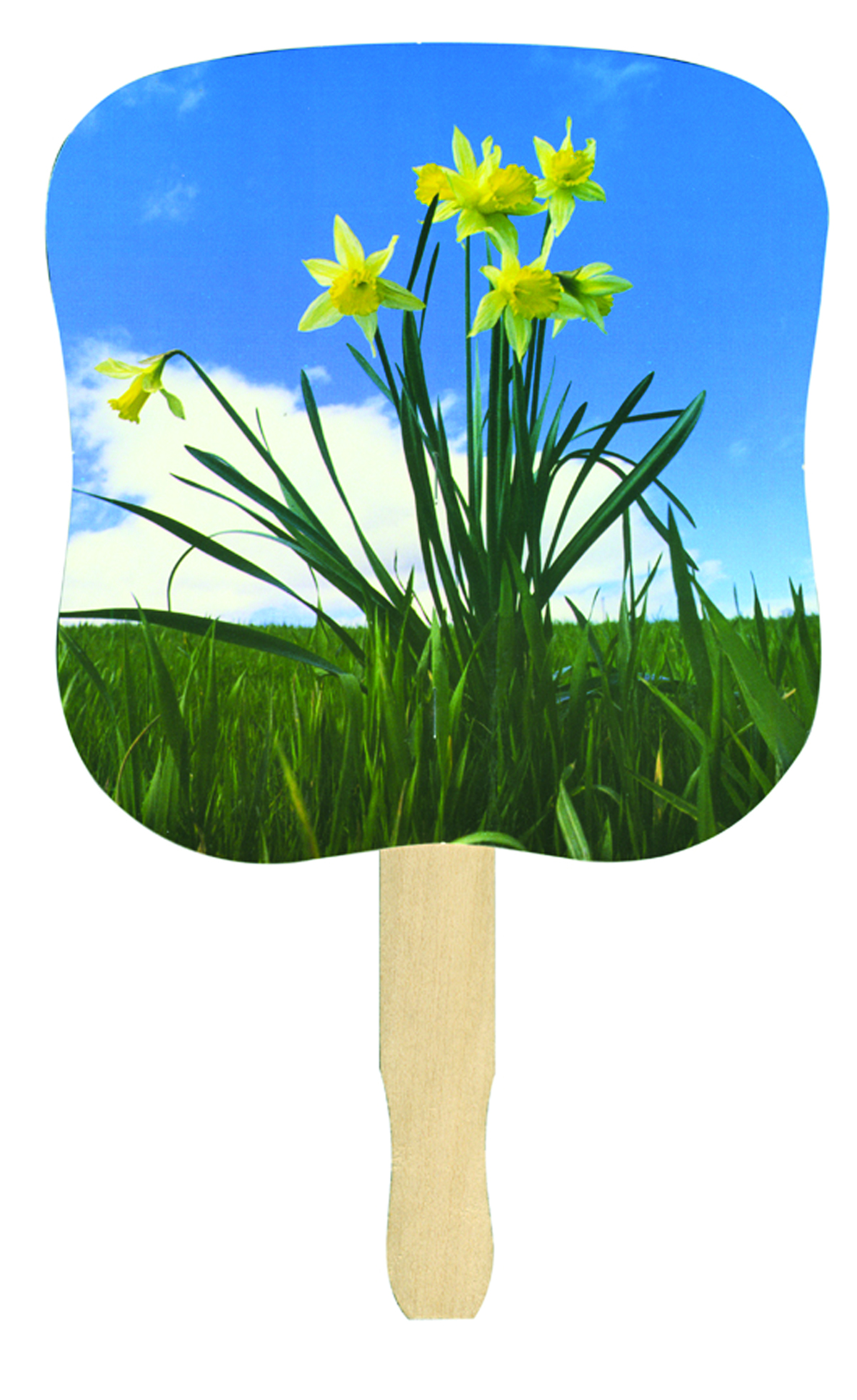 Stock Design Hand Fan - Daffodils