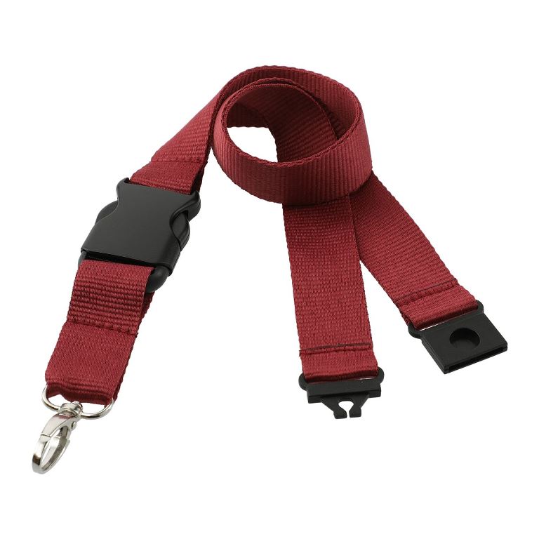 Hang In There Lanyard