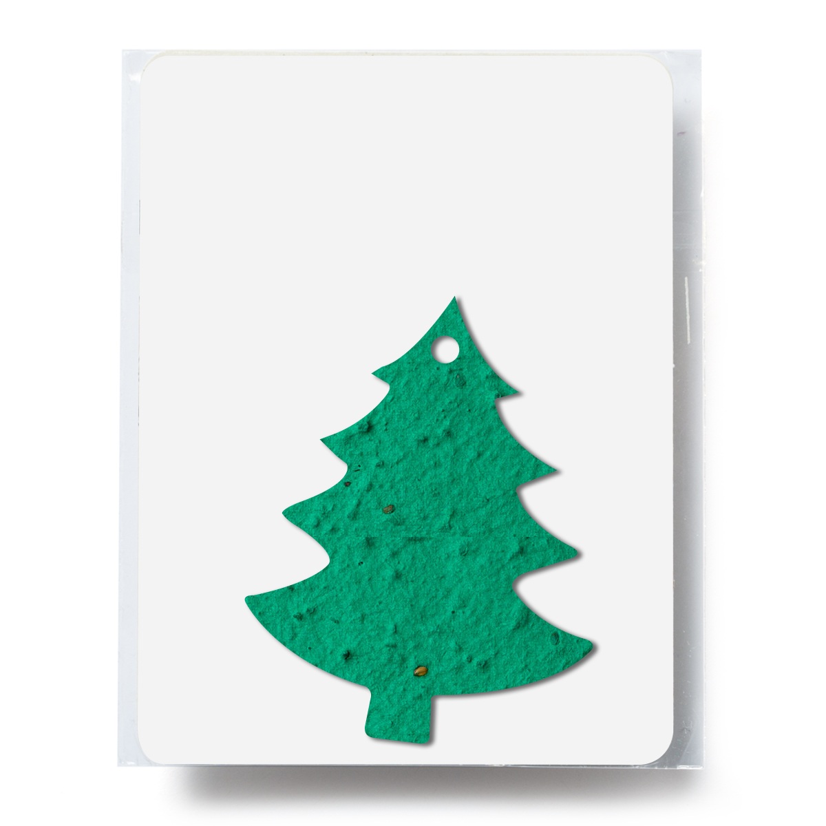 Bloomin Tree Shaped Plantable Gift Pack