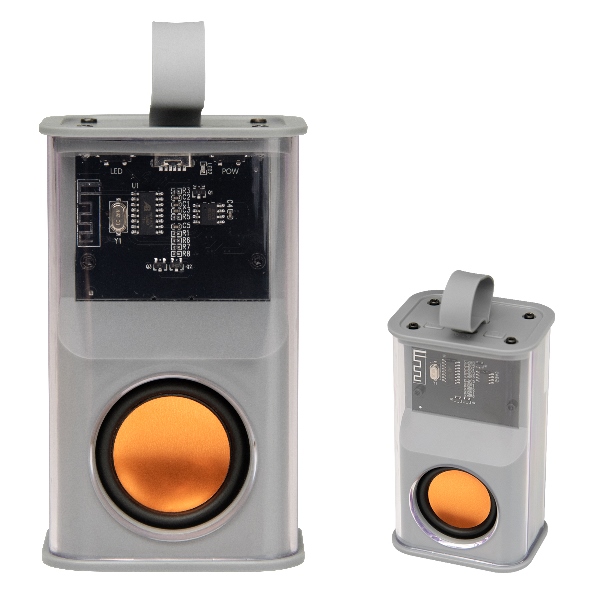 Loud & Clear Wireless Speaker