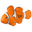 Clown Fish Stress Reliever