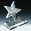 Dancing Star Award