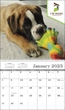 Custom Single Image Appointment