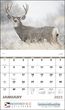 Wildlife Portraits - Stapled