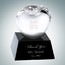 Apple Award with Marble Base