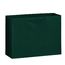 Gloss Laminated Euro Tote Bag |16x6x12|