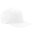 Flexfit Adult Pro Baseball On-Field Cap